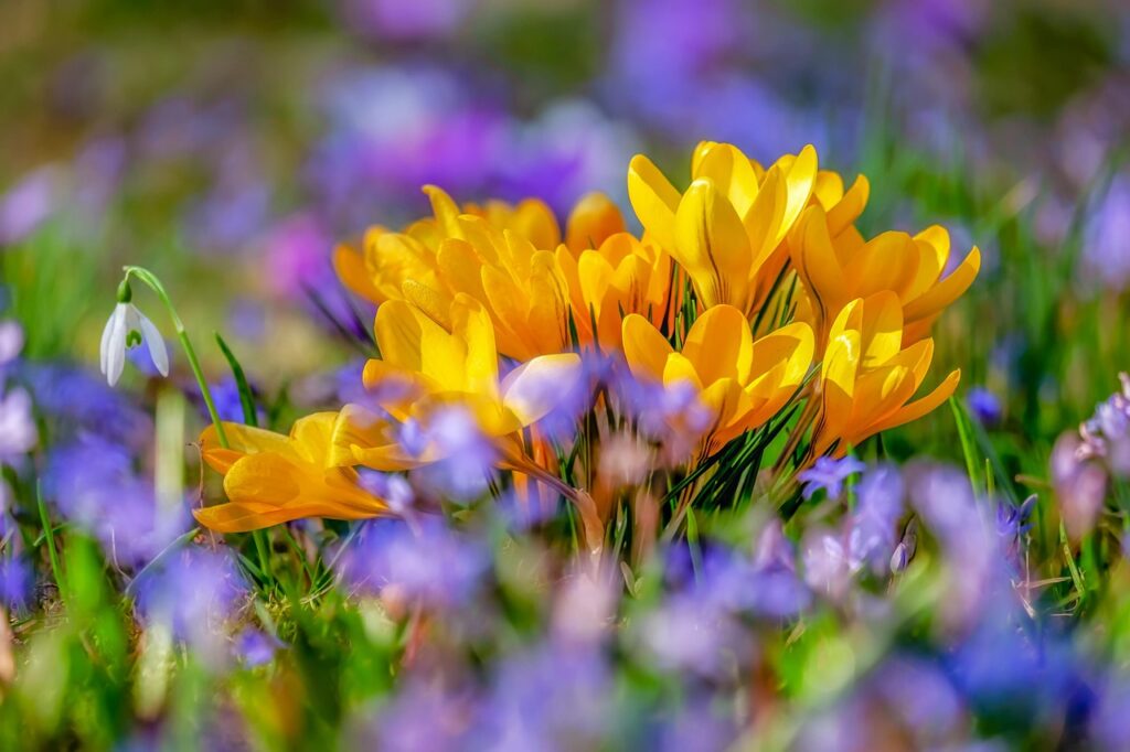 EYFS outdoor learning activity ideas spring