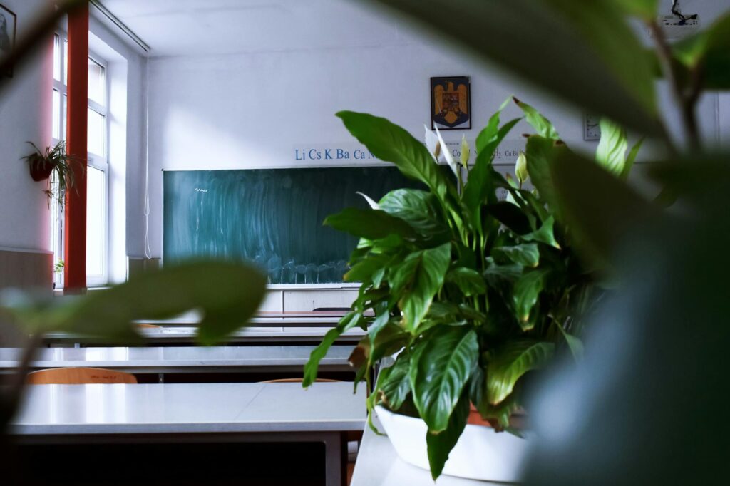 classroom chalkboard with teacher