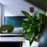 classroom chalkboard with teacher