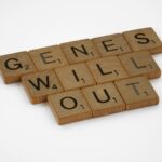 dihybrid cross illustration