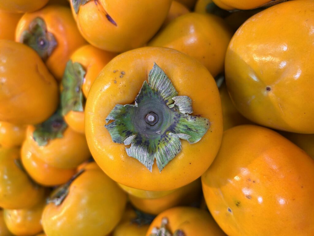 fresh persimmons fruit