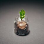 investment growth chart