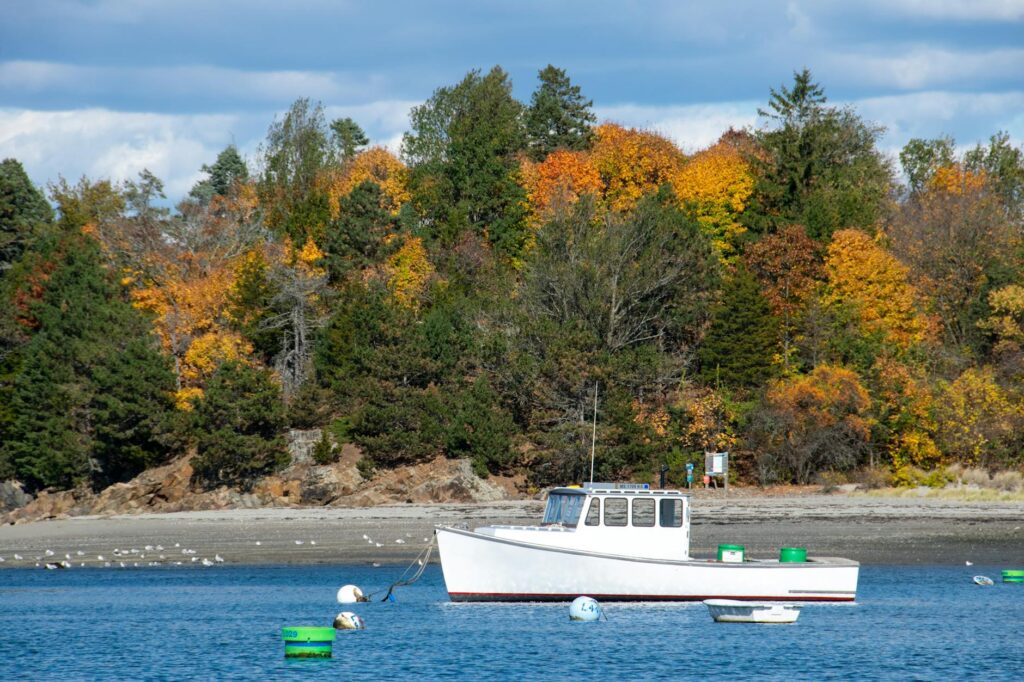 New England coast autumn