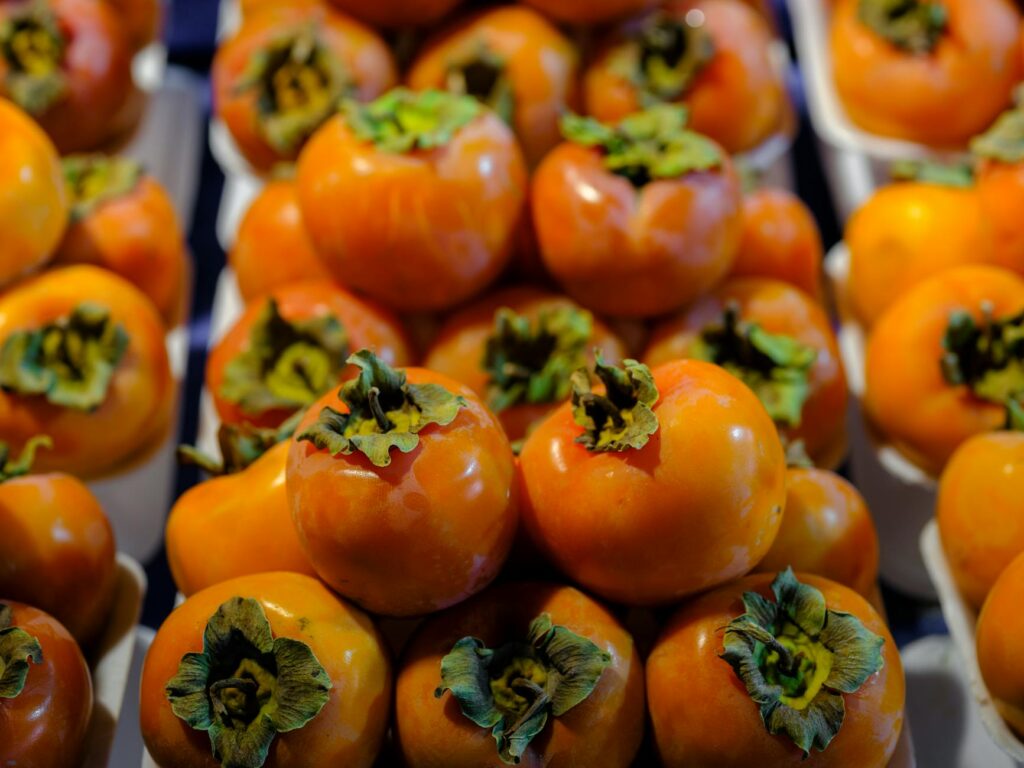 persimmon fruit uses