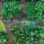 profitable garden harvest