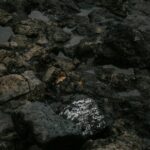 Rocks D. Xebec One Piece