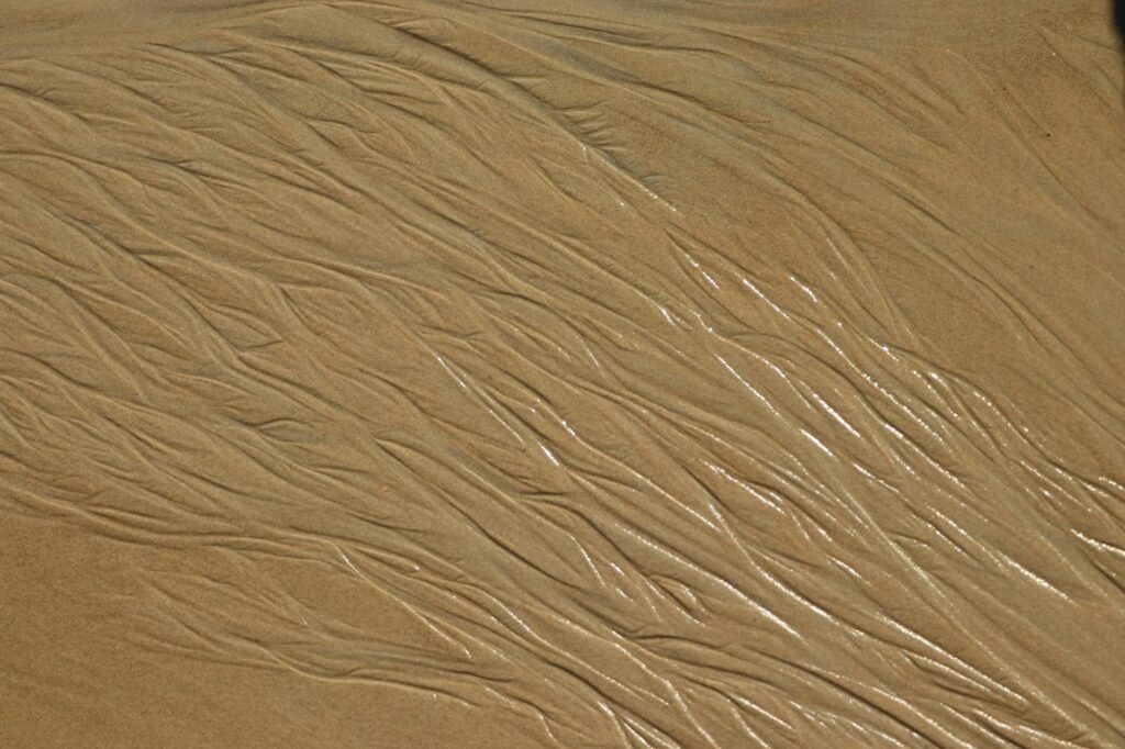 Sandy Mahl conservation work