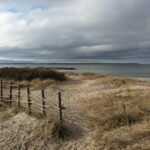 Sandy Mahl wildlife sanctuary