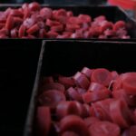 various wax types colorful