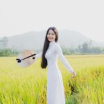 Vietnamese natural health products