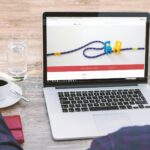 website trust evaluation